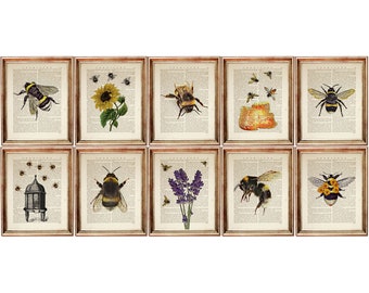 Set of 10 Botanical Dictionary Art Prints, Honeybee & Flower Posters