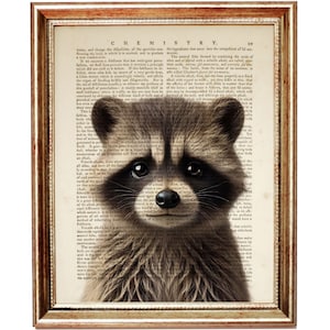 Stampa artistica di procione, pagina di dizionario con ritratto di animali, regalo per gli amanti dei procioni, simpatica decorazione murale con procione, poster con cucciolo di procione