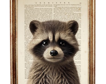 Raccoon Dictionary Art Print, Animal Portrait Poster