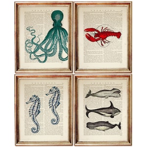4er Set Prints, Meerestiere Print, Seepferdchen Wandkunst, Hummer Print Hummer Kunstdruck, Oktopus Wörterbuch Kunstdruck
