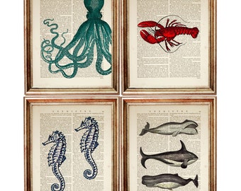 Set di 4 stampe, stampa di creature marine, stampa murale di cavallucci marini, stampa di aragosta, stampa artistica di aragosta, stampa artistica di dizionario di polpo