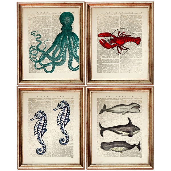 Set of 4 Prints, Sea Creatures Print, Sea Horse Wall Art, Lobster Print Lobster Art Print, Octopus Dictionary Art Print