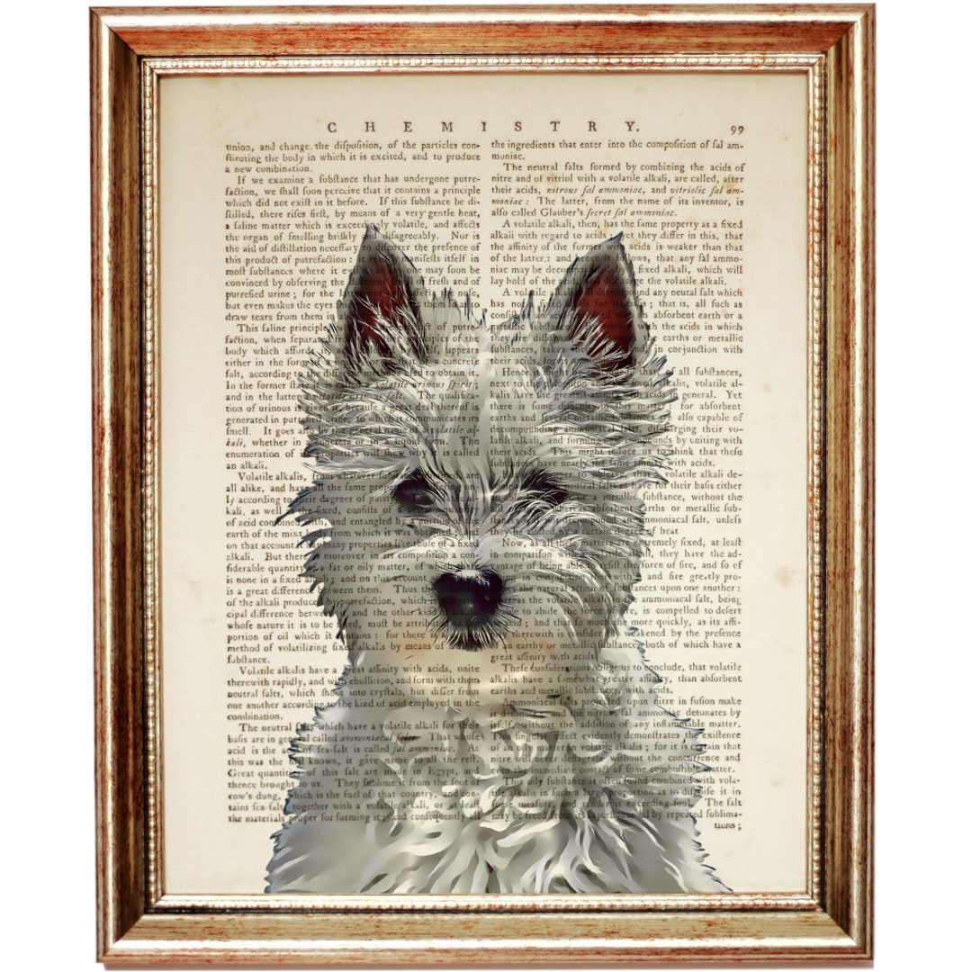 West Highland Terrier Wall Art, Dog Dictionary Art Print, Pet Portrait ...