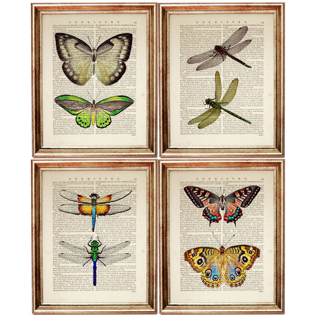 Set of 4 Dragonfly and Butterfly Prints, Nature Vintage Dictionary Art ...