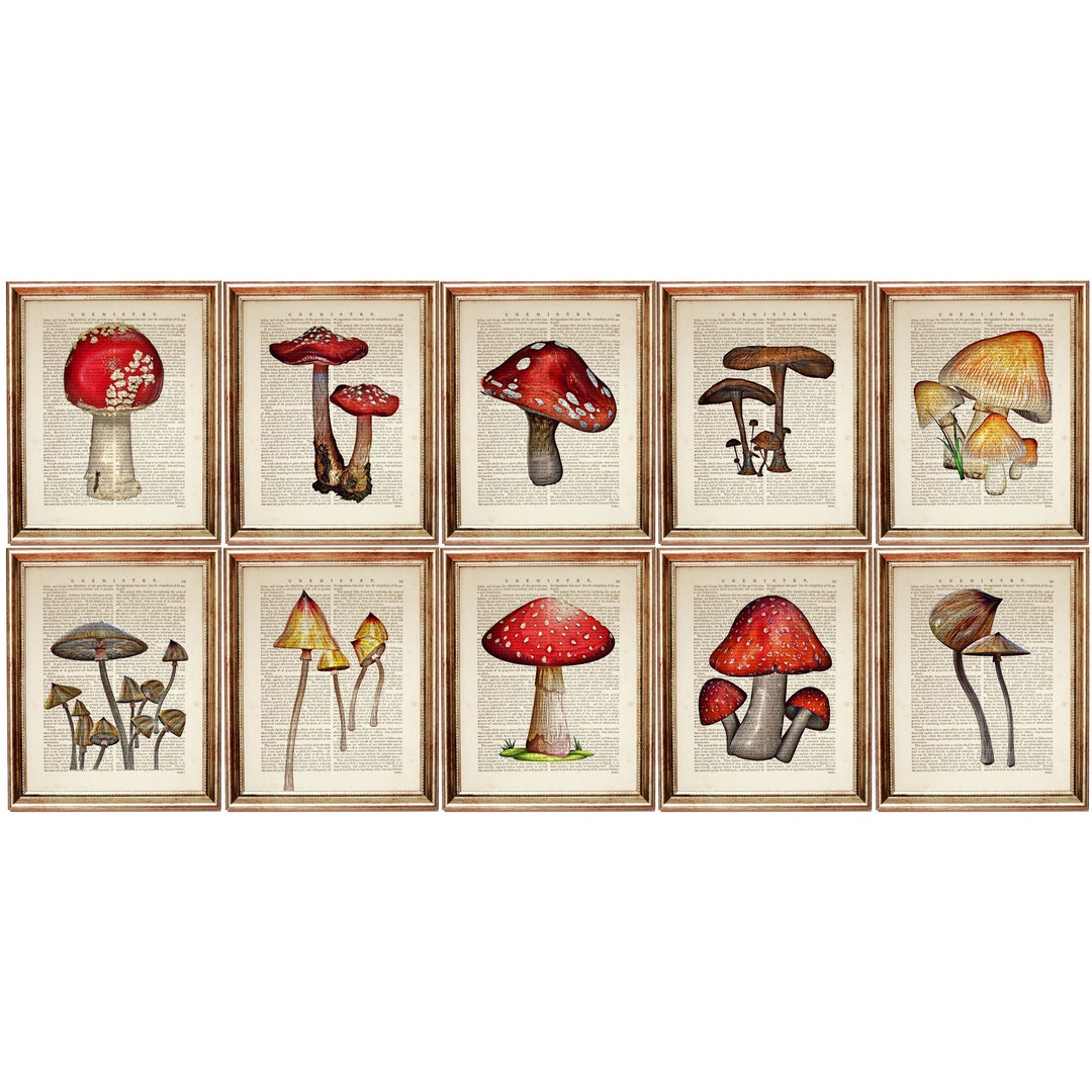 Mushroom Print Set Mushroom Decor Set of 10 Prints Mushroom - Etsy