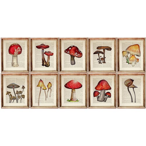 Set of 6 Prints Mushroom Wall Art Mushroom Dictionary Art - Etsy