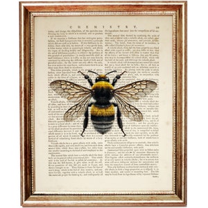 May include: A vintage illustration of a bumblebee with black and yellow stripes, set against a page of text from an old book. The text is about chemistry and the composition of salts.