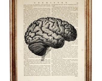 Brain Art Print, Science Wall Art, Anatomy Poster, Anatomical Antique Dictionary Page, Medical Office Wall Decor
