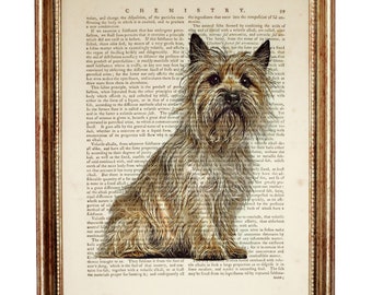 Cairn Terrier Dog Art Print, Pet Vintage Dictionary Book Page Wall Decor