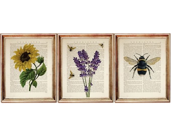 Set of 3 Prints, Sunflower Dictionary Book Page Art, Lavender with Bee Art Prints, Botanical Wall Art, Nature Wall Decor