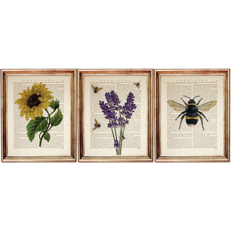 May include: Set of three framed prints featuring vintage botanical illustrations of a sunflower, lavender flowers, and a bumblebee on a background of old book pages.