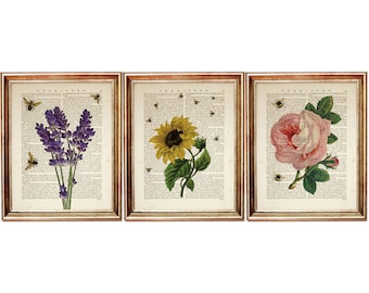 Set of 3 Botanical Dictionary Art Prints, Flower with Bees Poster Set