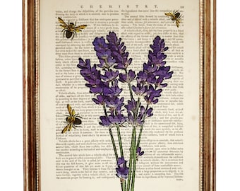 Lavendel Kunstdruck, Lavendelblüten mit Bienen, Wörterbuch Kunstdruck, Bienen mit Lavendel Wandkunst, Buchseite Kunst Poster
