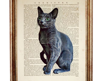 Vintage Cat Art Print, Russian Blue Cat Poster, Animal Wall Decor