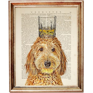 Stampa artistica con dizionario di Goldendoodle con bicchiere di bourbon, decorazione da parete con ritratto di cane, poster di animali divertenti, animale domestico con bicchiere in testa