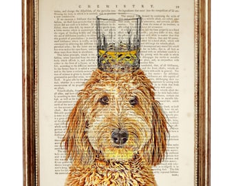 Goldendoodle with Bourbon Glass Dictionary Art Print, Dog Portrait Wall Decor, Funny Animal Poster, Pet with Glass on Head