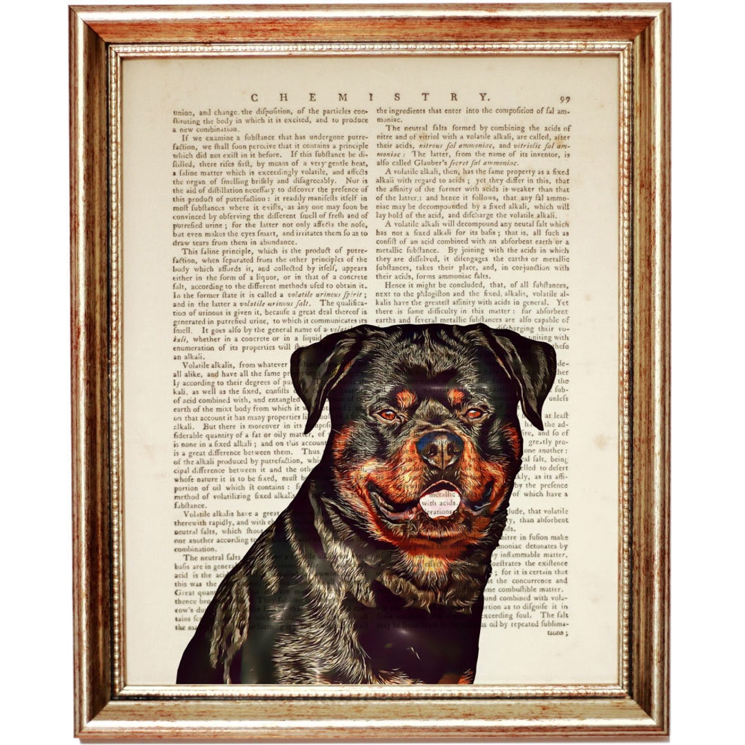 Vintage Rottweiler Rottweiler Dog Print, Vintage Dictionary Art, Pet Lover Gift - Etsy