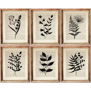 Op de afbeelding: Een set van zes ingelijste wandkunstprints, elk met een zwarte botanische silhouet gedrukt op een vintage woordenboekpagina met het woord Chemistry bovenaan. De lijsten zijn van licht hout met een textuurafwerking rondom het verouderde papier.