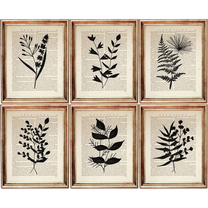 Op de afbeelding: Een set van zes ingelijste wandkunstprints, elk met een zwarte botanische silhouet gedrukt op een vintage woordenboekpagina met het woord Chemistry bovenaan. De lijsten zijn van licht hout met een textuurafwerking rondom het verouderde papier.