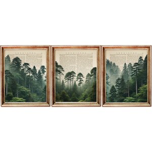Puede incluir: Tres impresiones enmarcadas de una escena de bosque brumoso con altos árboles verdes. Las impresiones están sobre un fondo de páginas de libros antiguos con la palabra "Química" impresa en la parte superior.