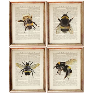 Set of 4 Prints, Bumble Bee Wall Art, Bumblebee Nursery Decor, Dictionary Art Print Set, Bee Book Page Art, Bumble Bee Print