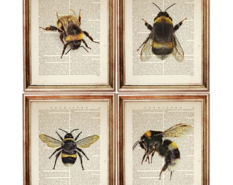 Set of 4 Prints, Bumble Bee Wall Art, Bumblebee Nursery Decor, Dictionary Art Print Set, Bee Book Page Art, Bumble Bee Print