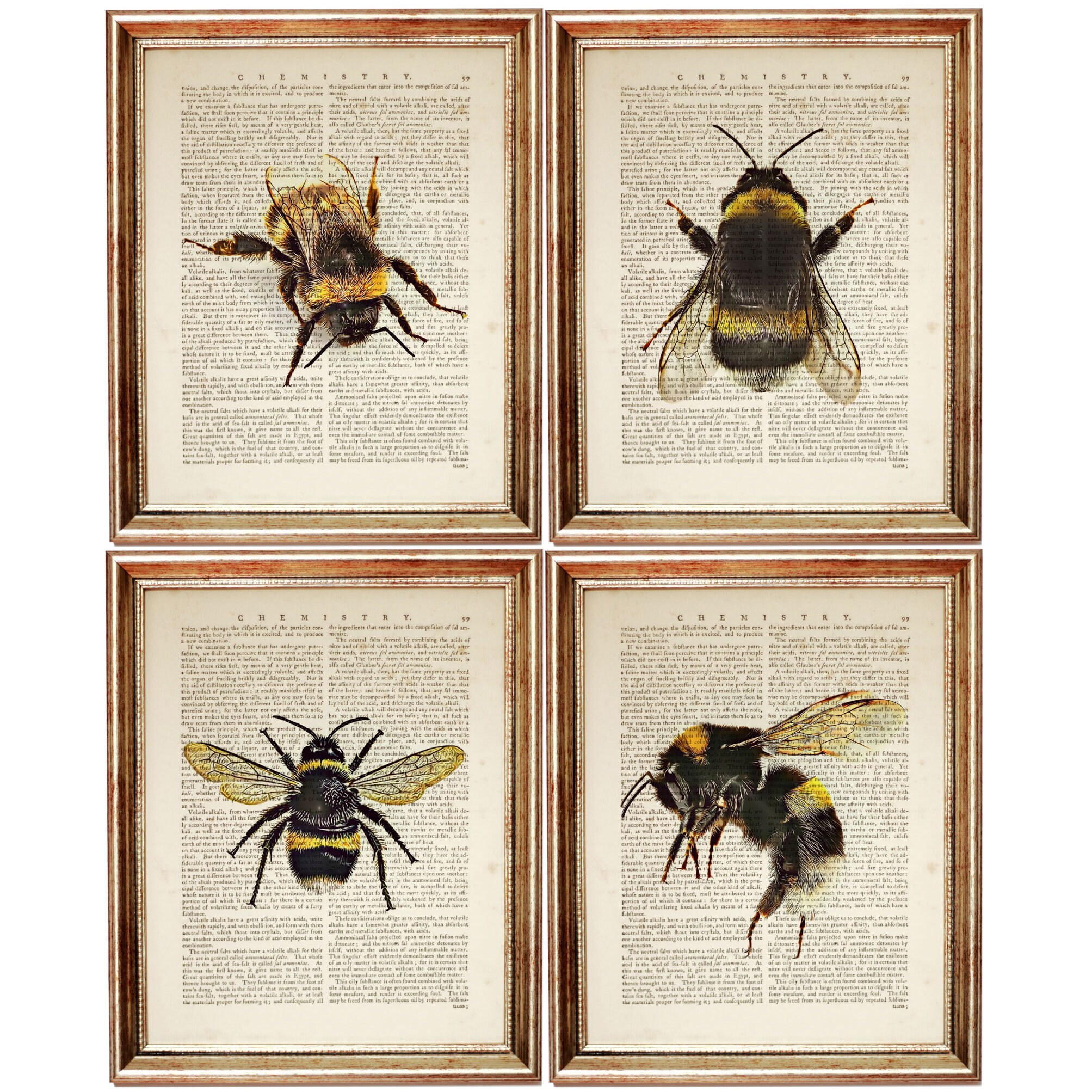 Antique Small/ Pocket-Size Book Collection – Honey Bee Mill