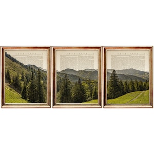 3er-Set Drucke, Walddruck 3er-Set, Wald Wandkunst, Landschaft Kunstdrucke natürlich, Bäume Wörterbuch Kunstdruck