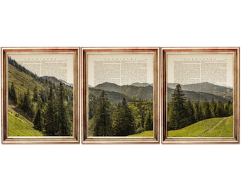 Set of 3 Prints, Forest Print Set of 3, Forest Wall Art, Landscape Art Prints Natural, Trees Dictionary Art Print