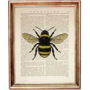 May include: Framed print featuring a detailed illustration of a bumblebee with yellow and black stripes, set against a vintage chemistry textbook page. The print is encased in a gold-toned wooden frame, adding a touch of classic charm.