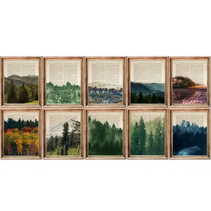 10er Set Prints, Wald Wand Kunst Druck, Wald Lexikon Kunstdruck, Nebliger Bergwald Poster, Bäume Natur Kunstwerk