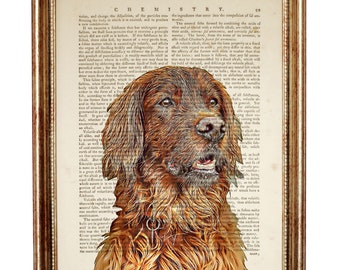 Irish Setter Portrait Art Print, Dog Vintage Dictionary Page