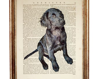 Retriever Wall Art, Flat Coated Retriever Dog Dictionary Art Print, Retriever Art Print, Pet Portrait Poster, Dog Artwork