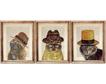 Set of 3 Cat with Hat Prints, Quirky Pet Dictionary Wall Art