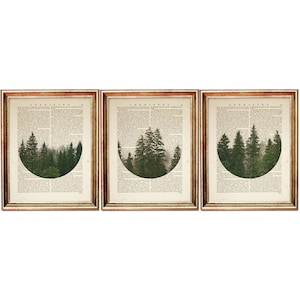 3er Set Prints, Natur Art Print, Wald Wand Kunst Trio, Wörterbuch Kunstdrucke, Bäume 8x10 Wanddekoration, grüne Kiefer Poster 8x10 & 5x7