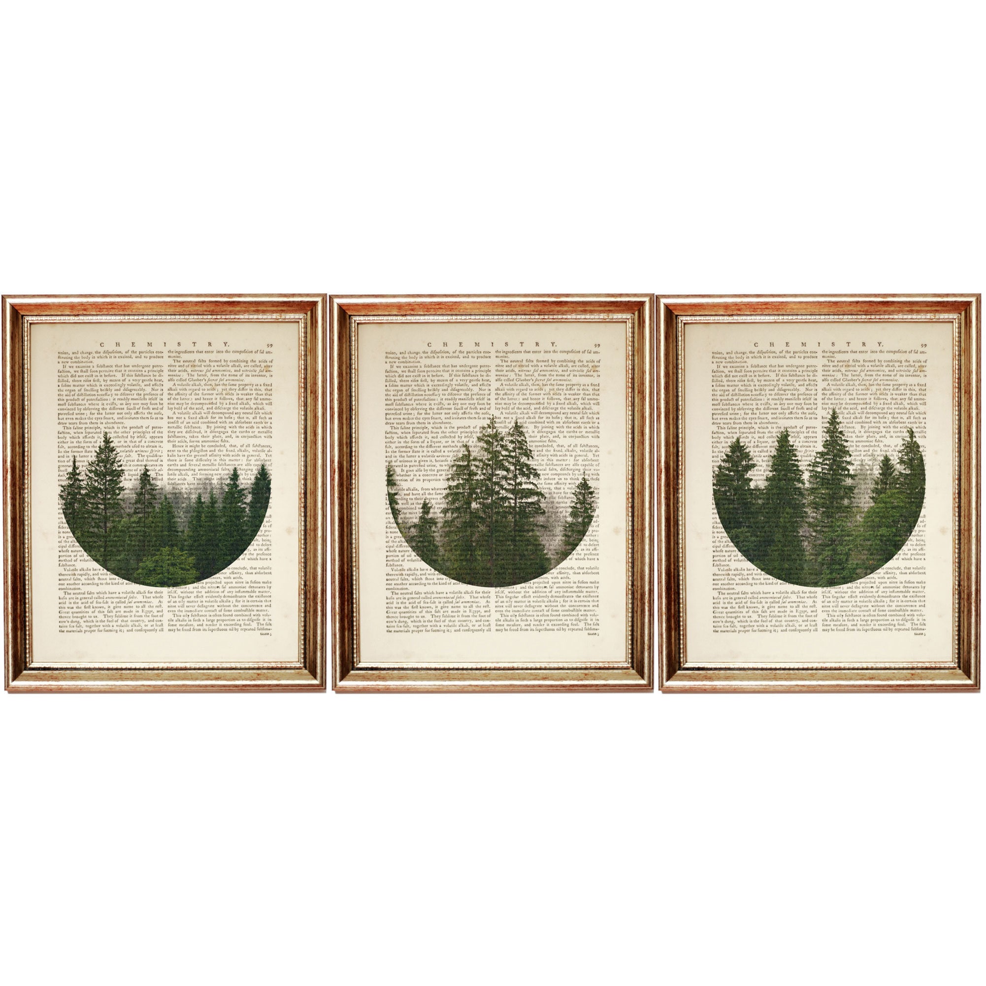 Set of 3 Prints Nature Print Set of 3 Wall Art Dictionary Etsy