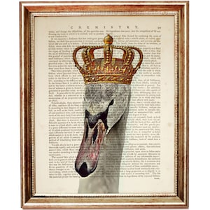 Royal Swan Art Print, Vintage Book Page Animal Illustration, Crowned Swan Wall Decor, Surreal Bird Art, Funny Wall art