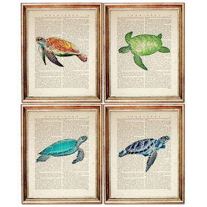 Lot de 4 impressions, art mural tortue de mer, oeuvre d&#39;art vintage vie marine, page de livre dictionnaire de la vie marine, décoration murale plage côtière