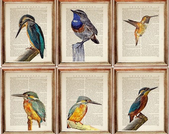 Set of 6 Wall Art, Bird Wall Art Print Set, Birds Dictionary Art Prints, Bird Watcher Gift, Bird Artwork Bird Poster Bird