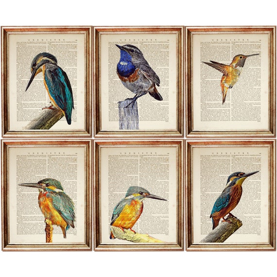 Set of 6 Prints, Bird Wall Art Print Set, Birds Dictionary Art Prints, Bird Watcher Gift, Bird Artwork, Bird Poster