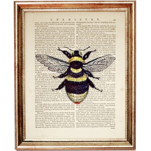 Bumble Bee Trio Dictionary Art Prints
