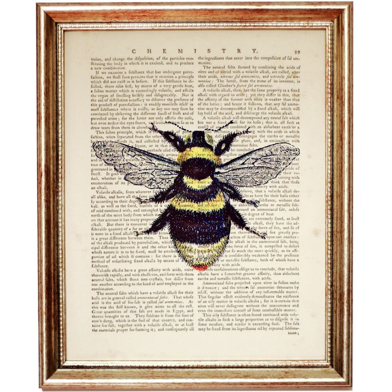 Bumble Bee Trio Dictionary Art Prints