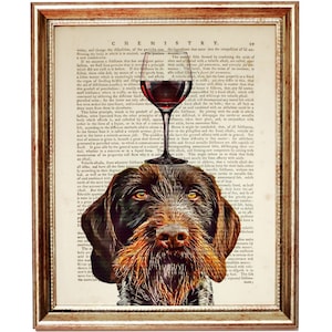 May include: A brown and black German Shorthaired Pointer dog with a glass of red wine on its head. The dog is looking directly at the viewer. The image is superimposed on a vintage book page with text about chemistry.