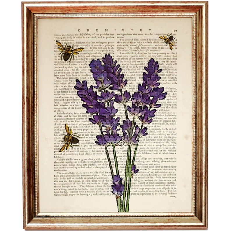 May include: A vintage book page with a botanical illustration of lavender flowers in shades of purple and green. The page is surrounded by a gold frame and features small bees flying around the flowers. The text on the page is from a book on chemistry.
