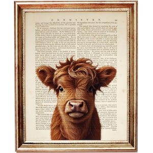 Puede incluir: Un primer plano de un ternero Highland con un pelaje marrón rojizo y una cara blanca. Los ojos del ternero son grandes y marrones, y su nariz es húmeda y rosada. El ternero está mirando directamente a la cámara. La imagen está superpuesta a una página de libro vintage con texto sobre química.