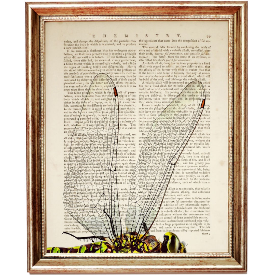 Dragonfly Dictionary Art Print, Vintage Insect Wall Art, Nature Lover ...