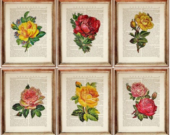 Set di 6 stampe artistiche di Rose Dictionary, decorazioni da parete botaniche, fiori