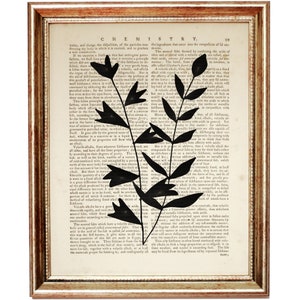 Op de afbeelding: Een ingelijst kunstwerk aan de muur met een zwart silhouet van een bebladerde plantstengel gedrukt op een pagina uit een vintage scheikundeboek. De pagina bevat de kop CHEMISTRY en het nummer 99. De lijst is goudkleurig met een textuur.