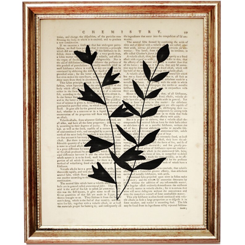 Op de afbeelding: Een ingelijst kunstwerk aan de muur met een zwart silhouet van een bebladerde plantstengel gedrukt op een pagina uit een vintage scheikundeboek. De pagina bevat de kop CHEMISTRY en het nummer 99. De lijst is goudkleurig met een textuur.