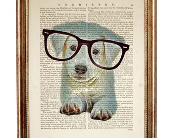 Stampa artistica di un cucciolo con gli occhiali, pagina del dizionario vintage di Labrador Retriever, regalo eccentrico per gli amanti dei cani, decorazione divertente per cani